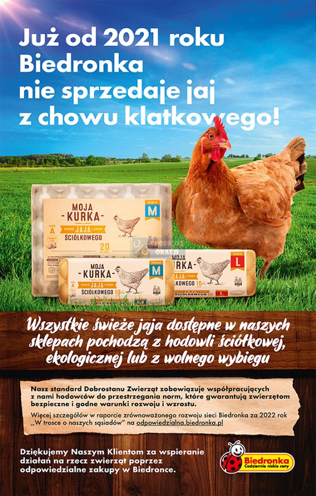 Gazetka promocyjna Biedronka str. 31