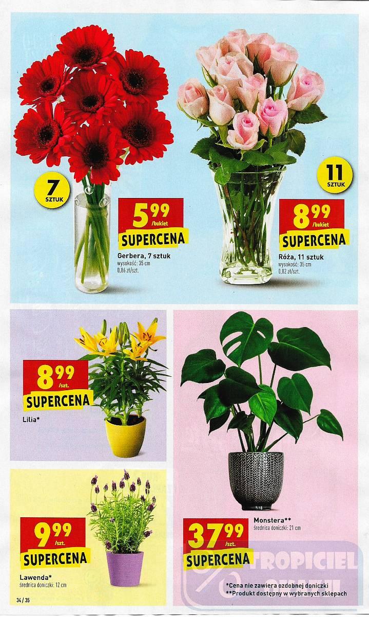 Gazetka promocyjna Biedronka str. 34