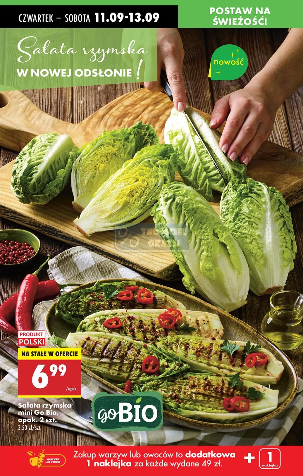 Gazetka promocyjna Biedronka str. 62