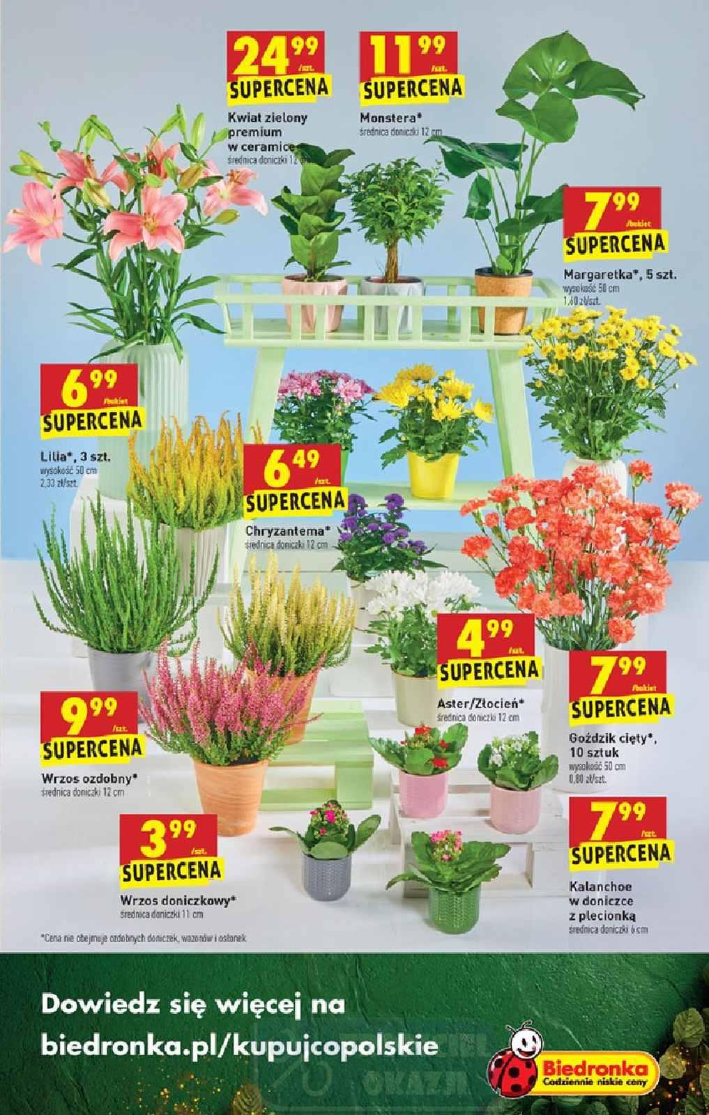 Gazetka promocyjna Biedronka str. 55