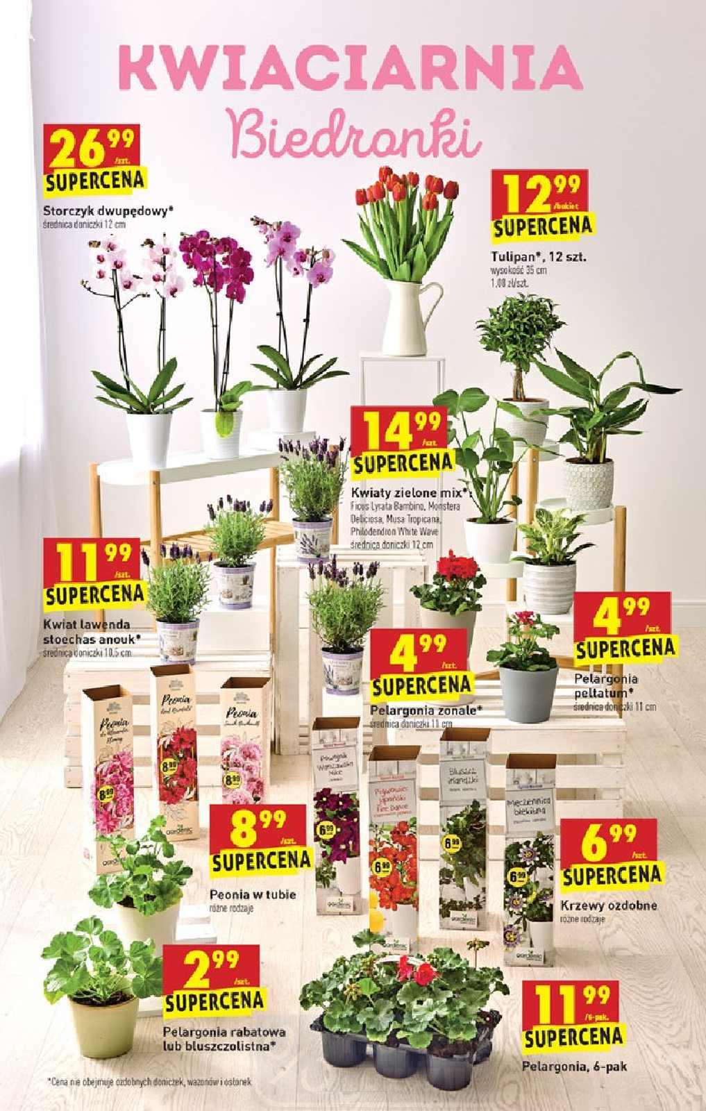 Gazetka promocyjna Biedronka str. 13