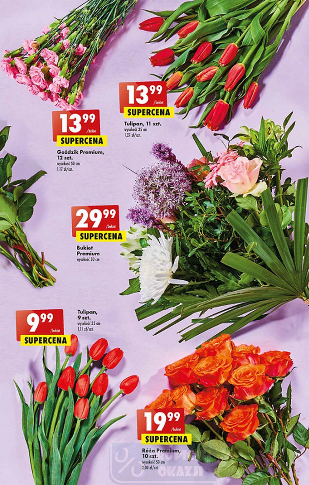 Gazetka promocyjna Biedronka str. 15
