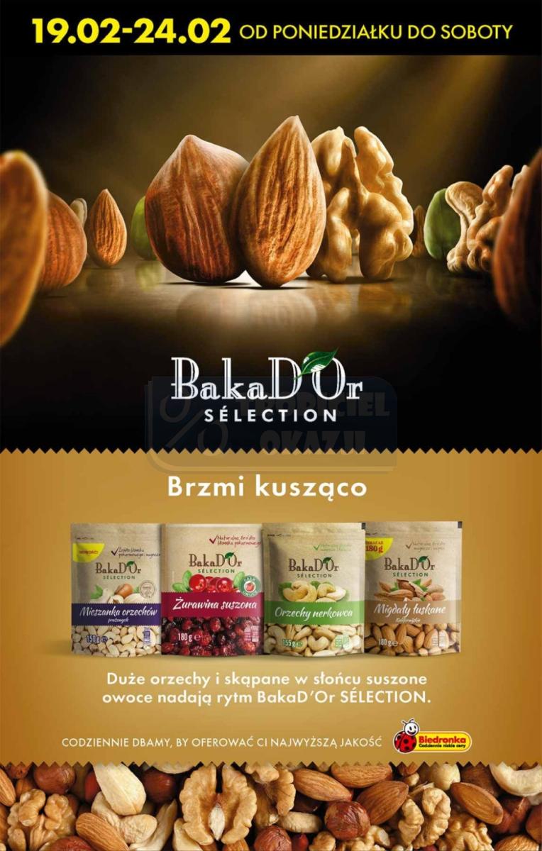 Gazetka promocyjna Biedronka str. 15