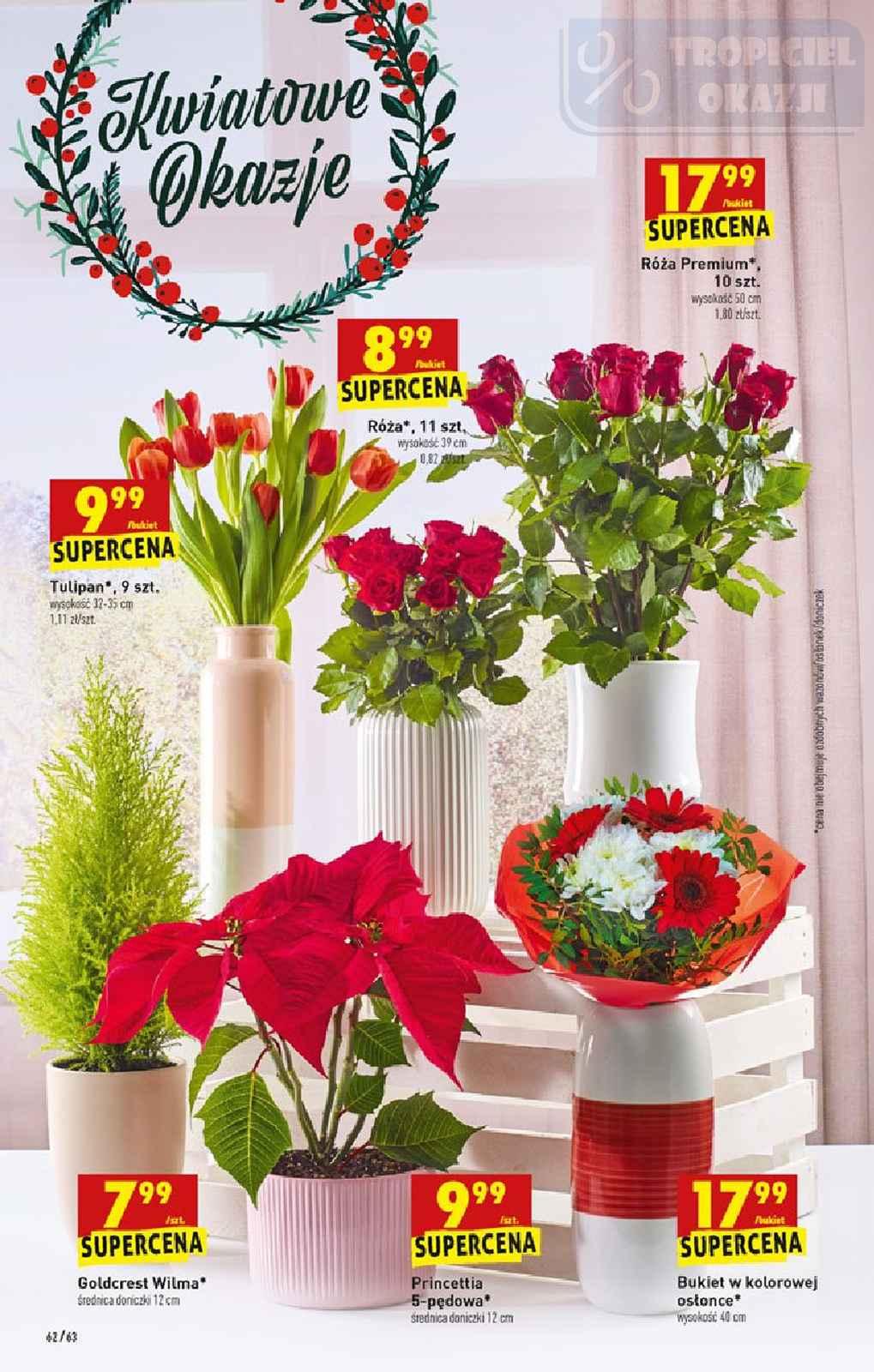 Gazetka promocyjna Biedronka str. 62