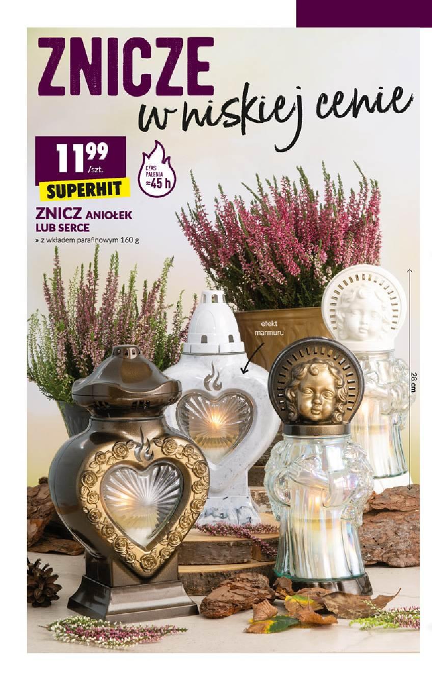 Gazetka promocyjna Biedronka str. 22