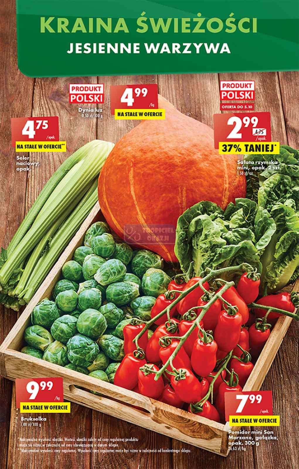 Gazetka promocyjna Biedronka str. 13