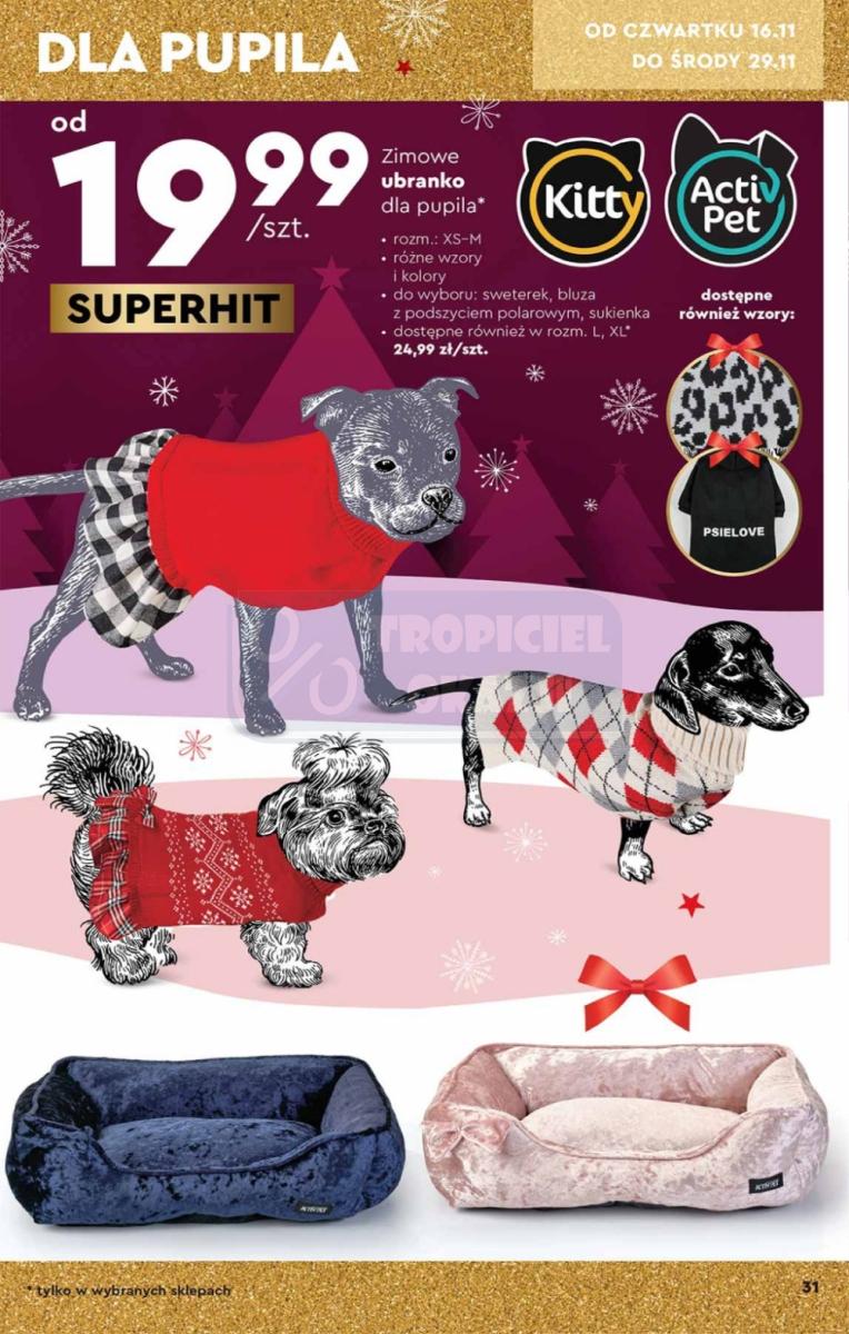 Gazetka promocyjna Biedronka str. 31