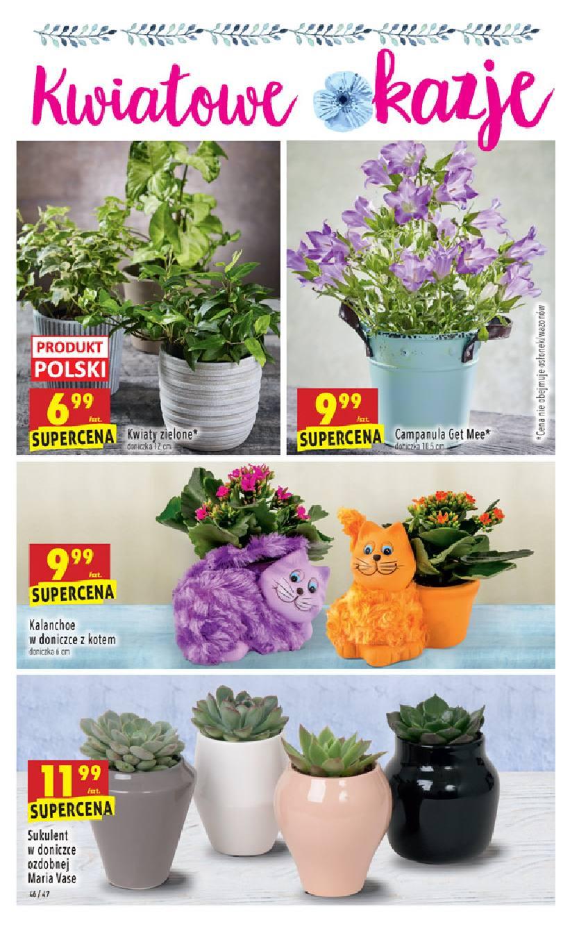 Gazetka promocyjna Biedronka str. 46
