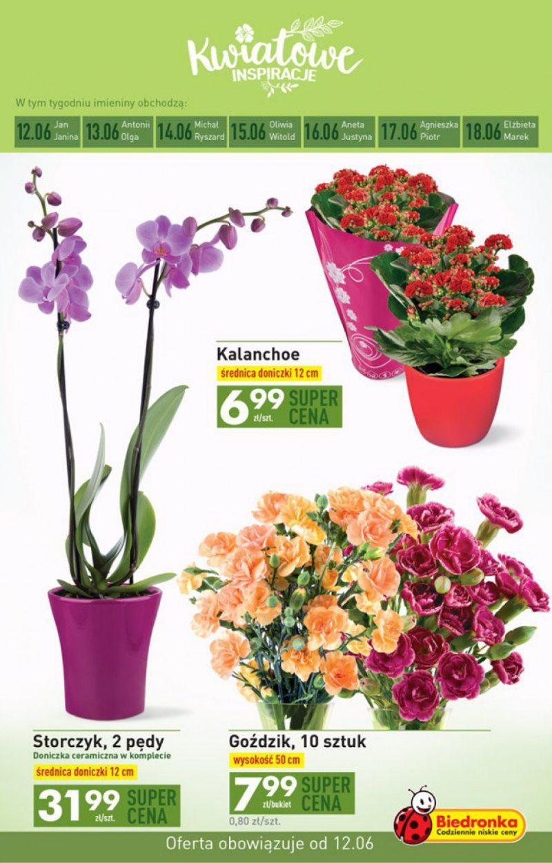 Gazetka promocyjna Biedronka str. 27