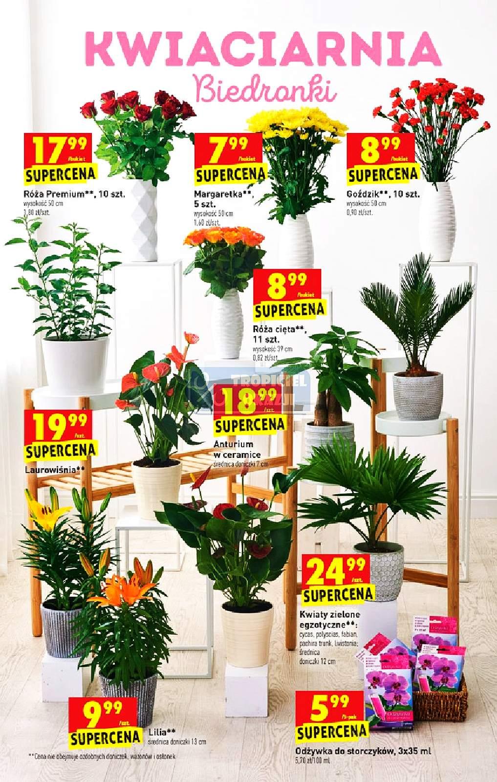 Gazetka promocyjna Biedronka str. 11