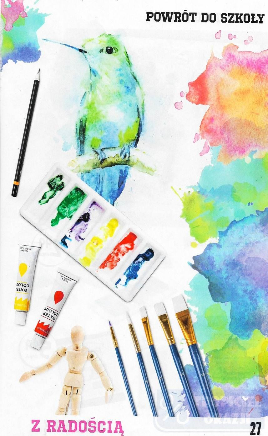 Gazetka promocyjna Biedronka str. 27