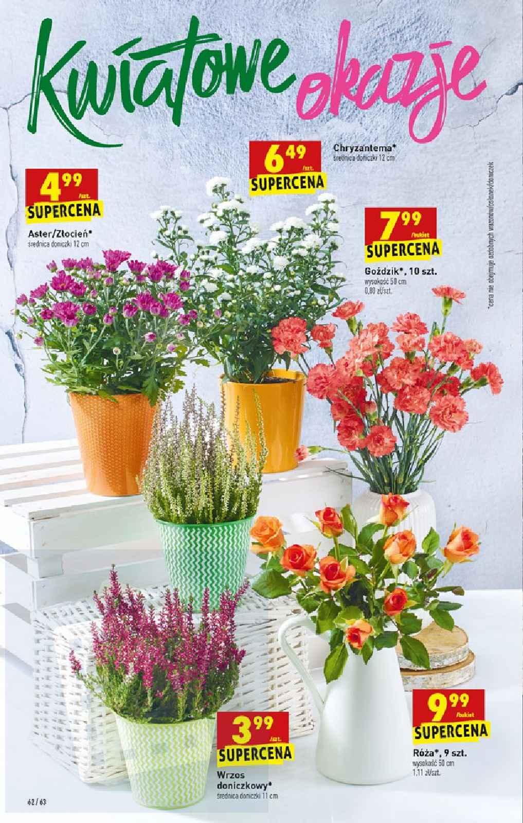 Gazetka promocyjna Biedronka str. 62