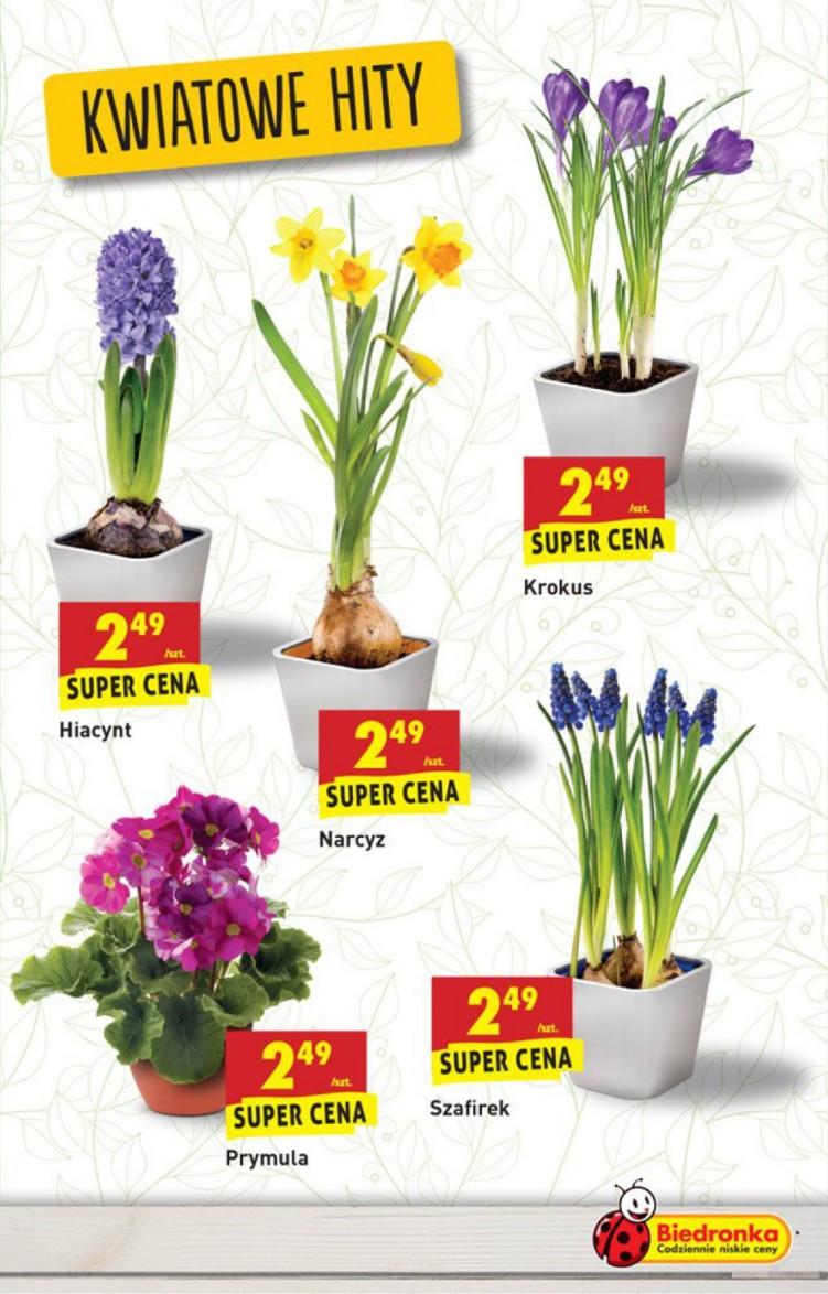 Gazetka promocyjna Biedronka str. 27