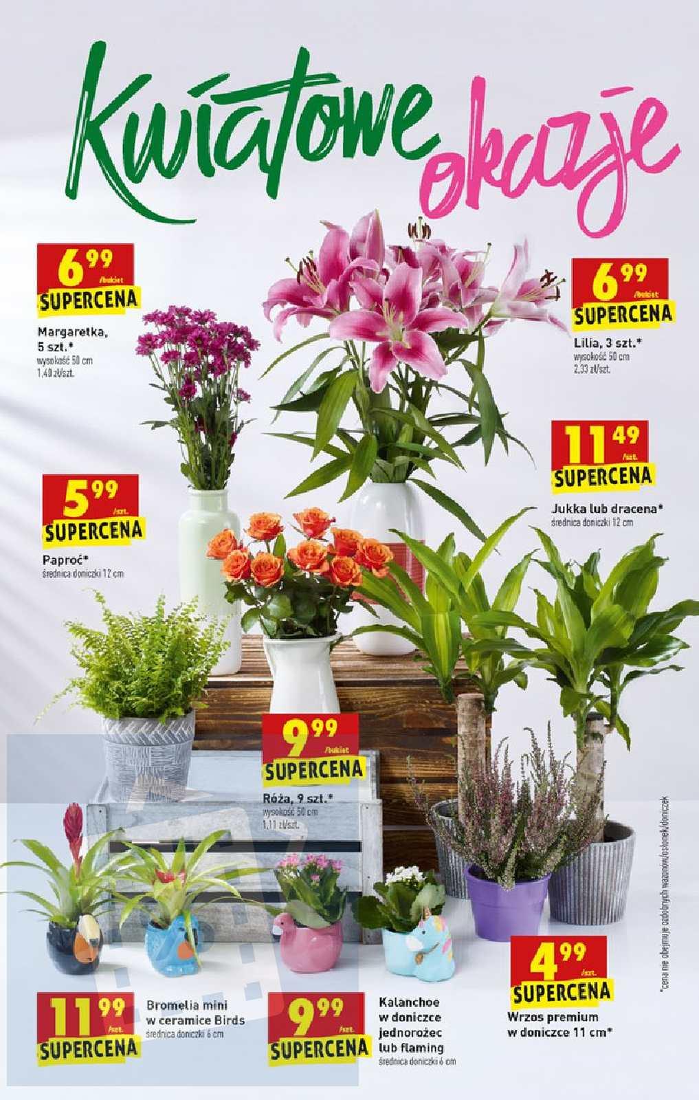 Gazetka promocyjna Biedronka str. 71