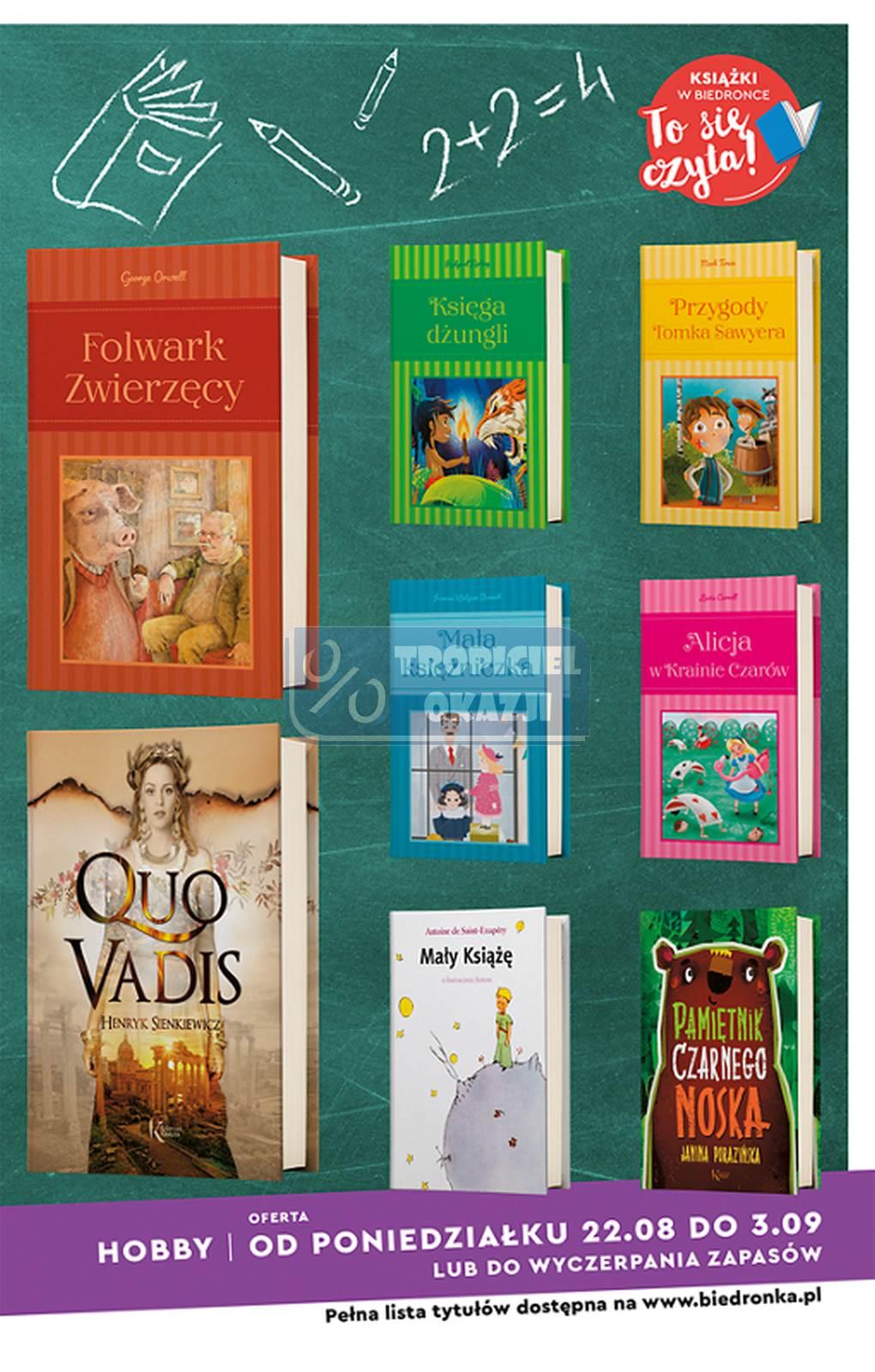 Gazetka promocyjna Biedronka str. 17