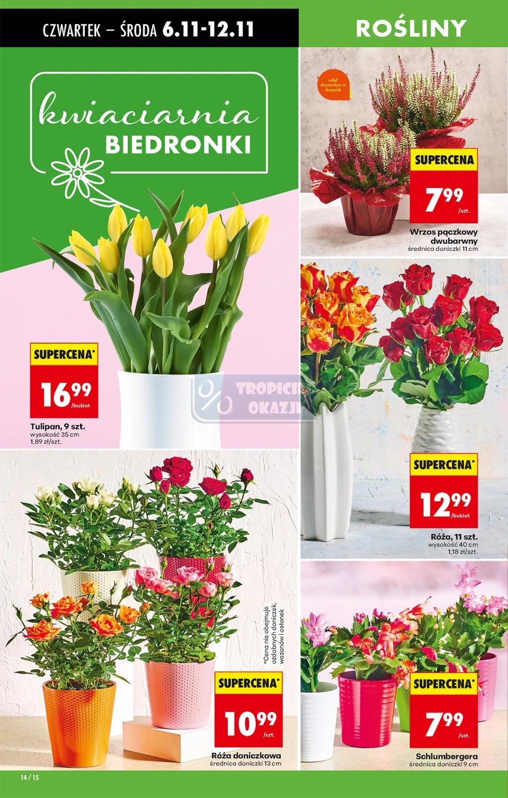 Gazetka promocyjna Biedronka str. 15