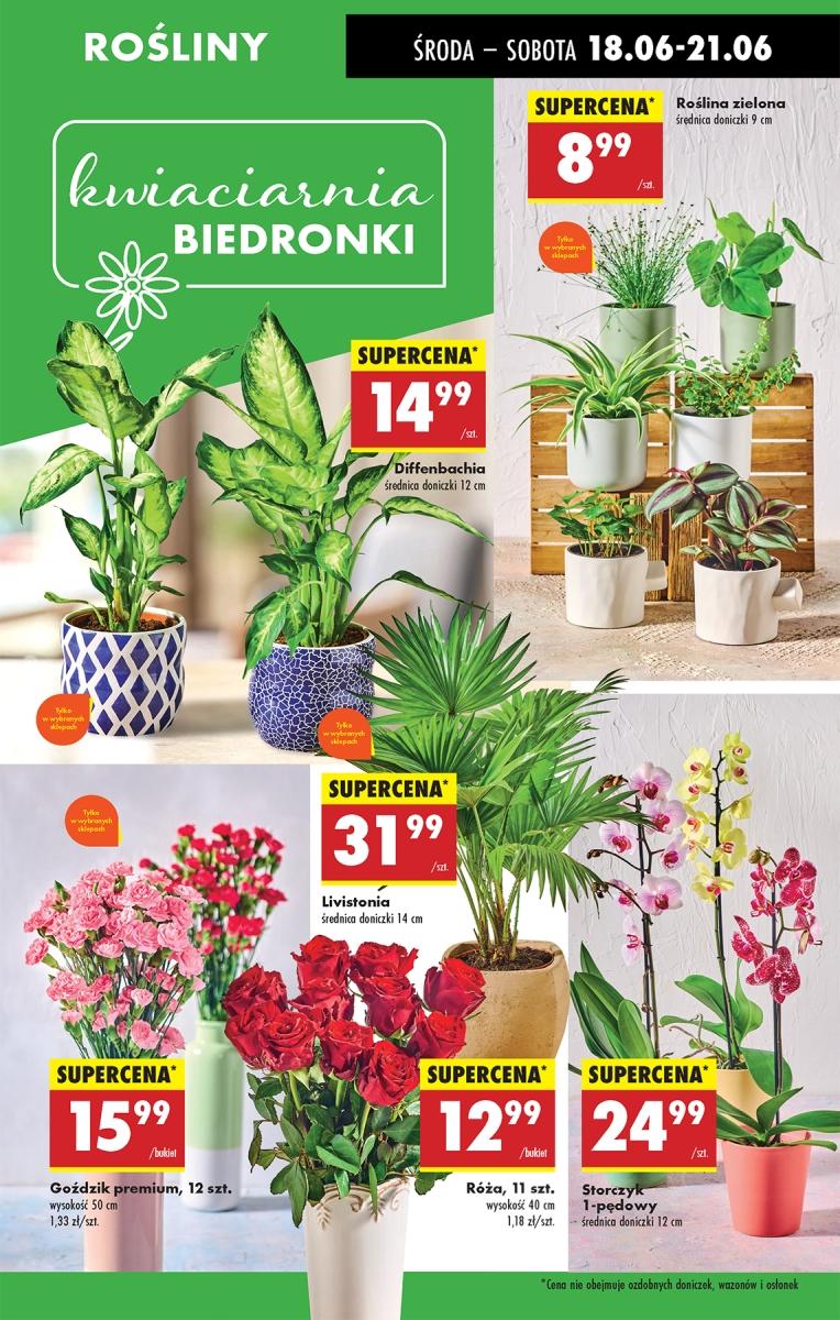 Gazetka promocyjna Biedronka str. 20