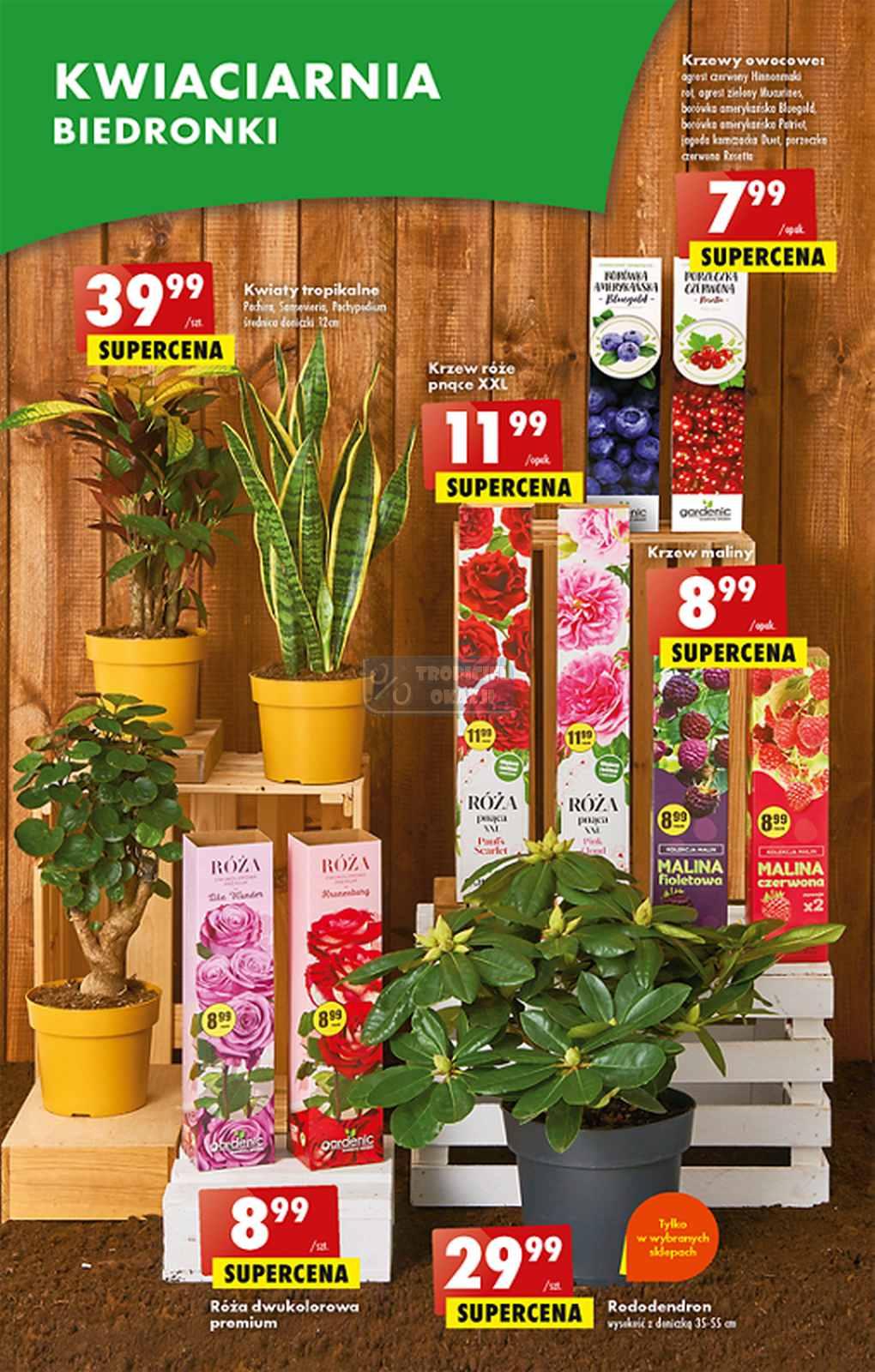 Gazetka promocyjna Biedronka str. 56