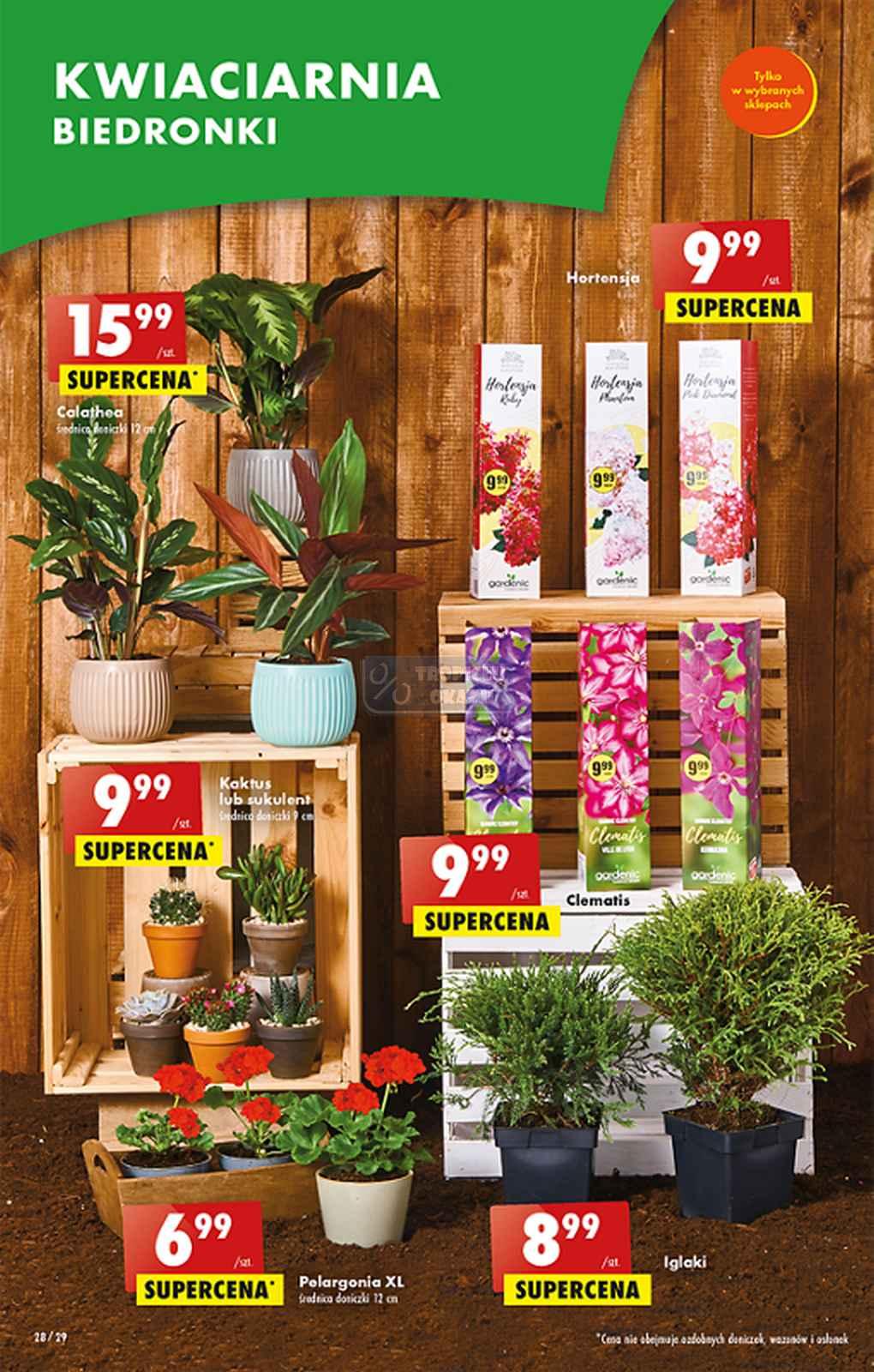 Gazetka promocyjna Biedronka str. 28