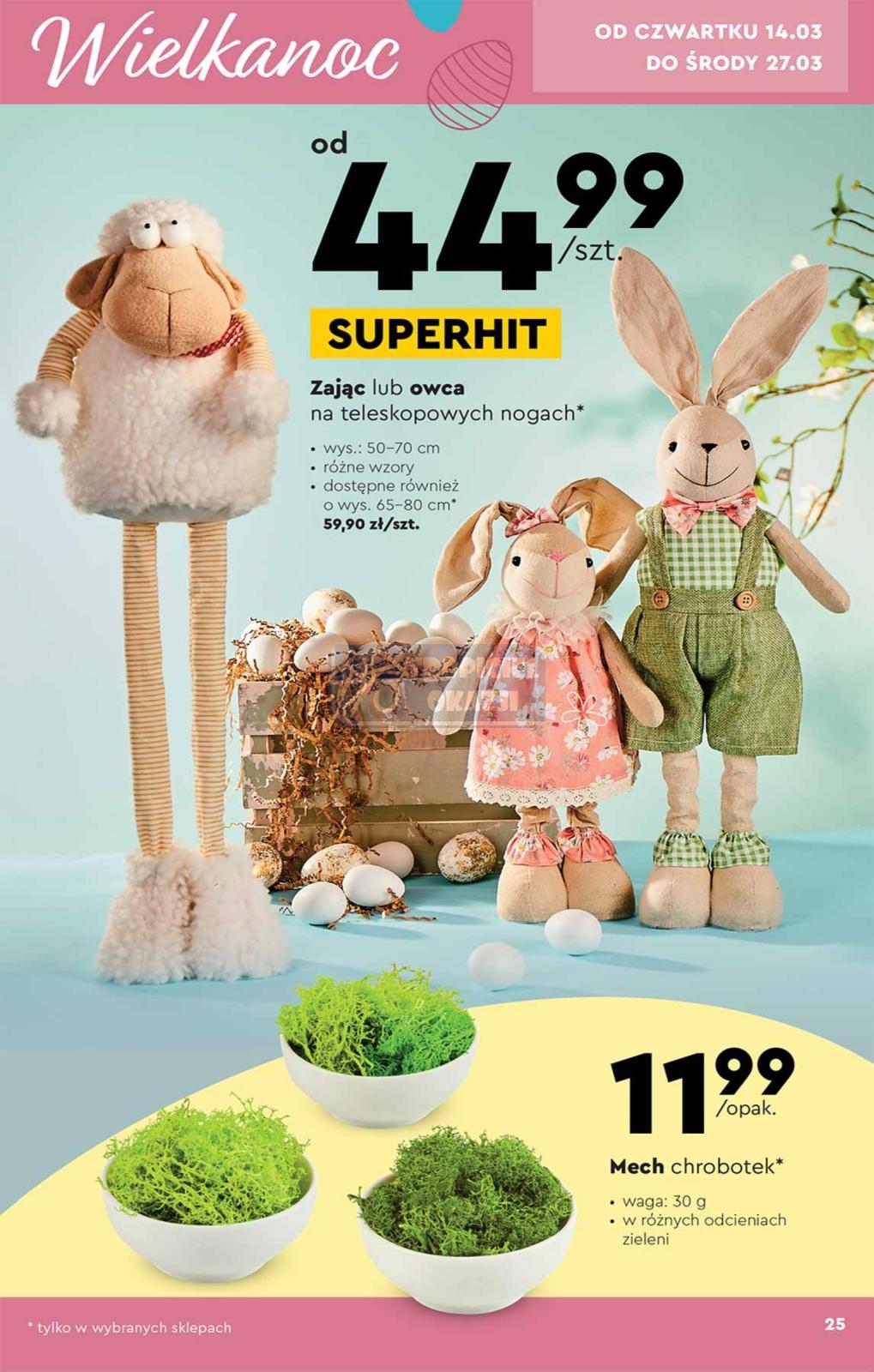 Gazetka promocyjna Biedronka str. 25