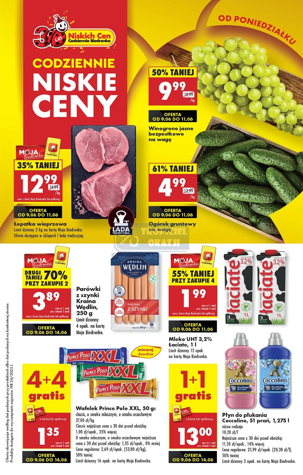 Gazetka promocyjna Biedronka str. 1