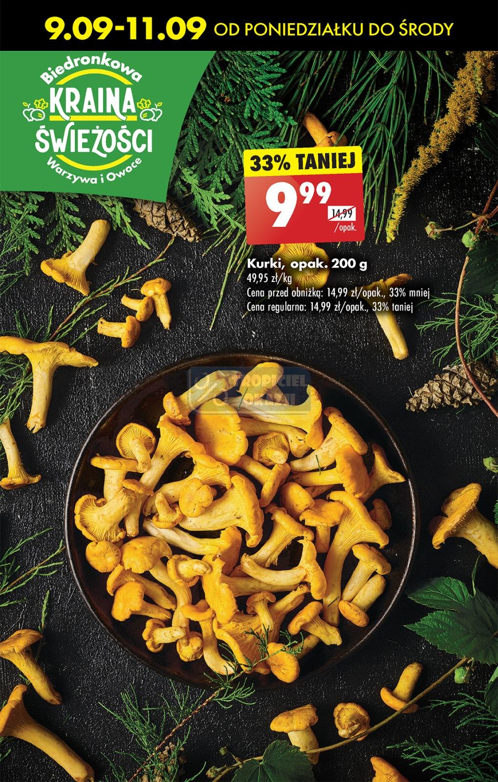 Gazetka promocyjna Biedronka str. 65