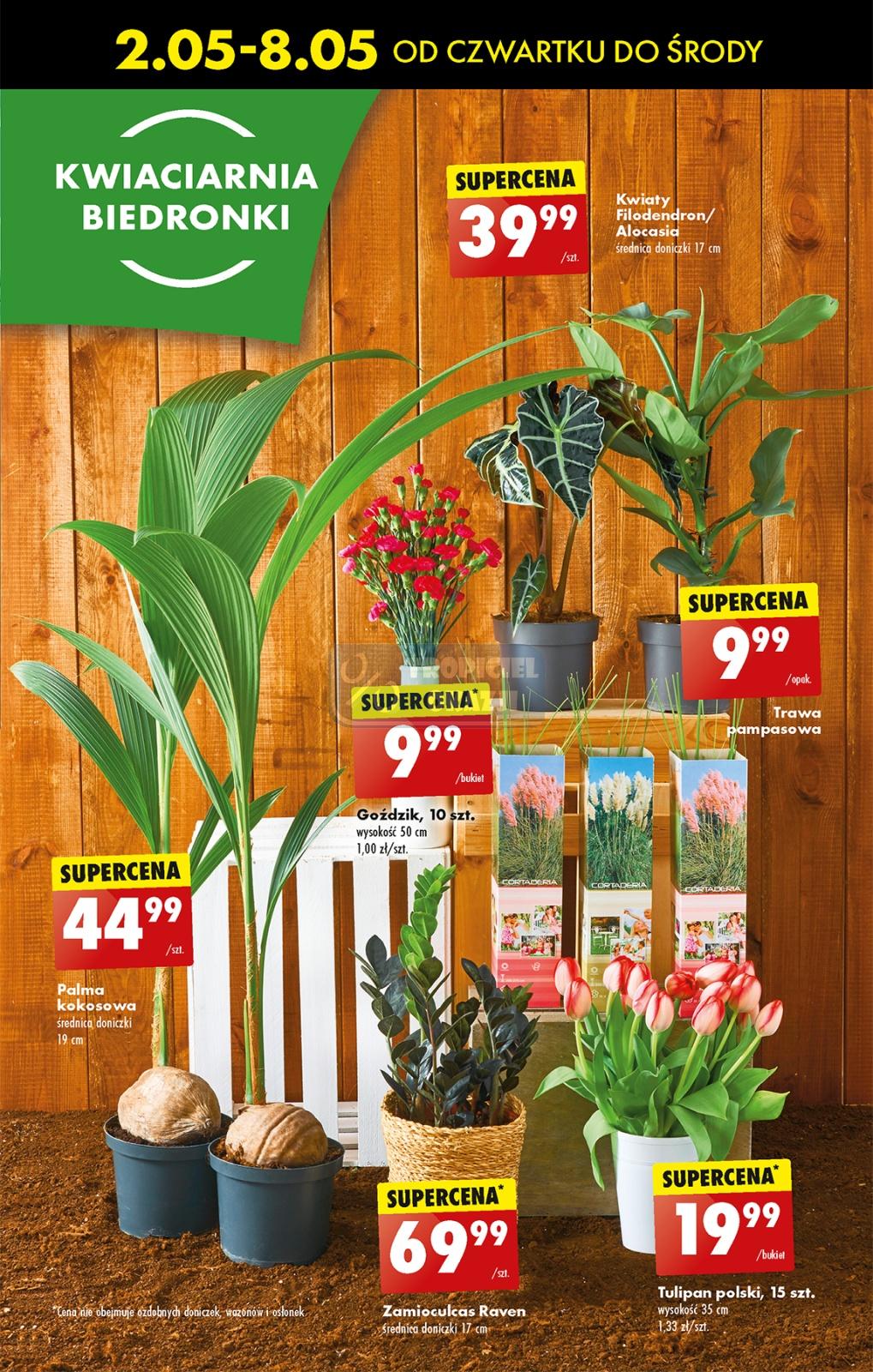 Gazetka promocyjna Biedronka str. 55