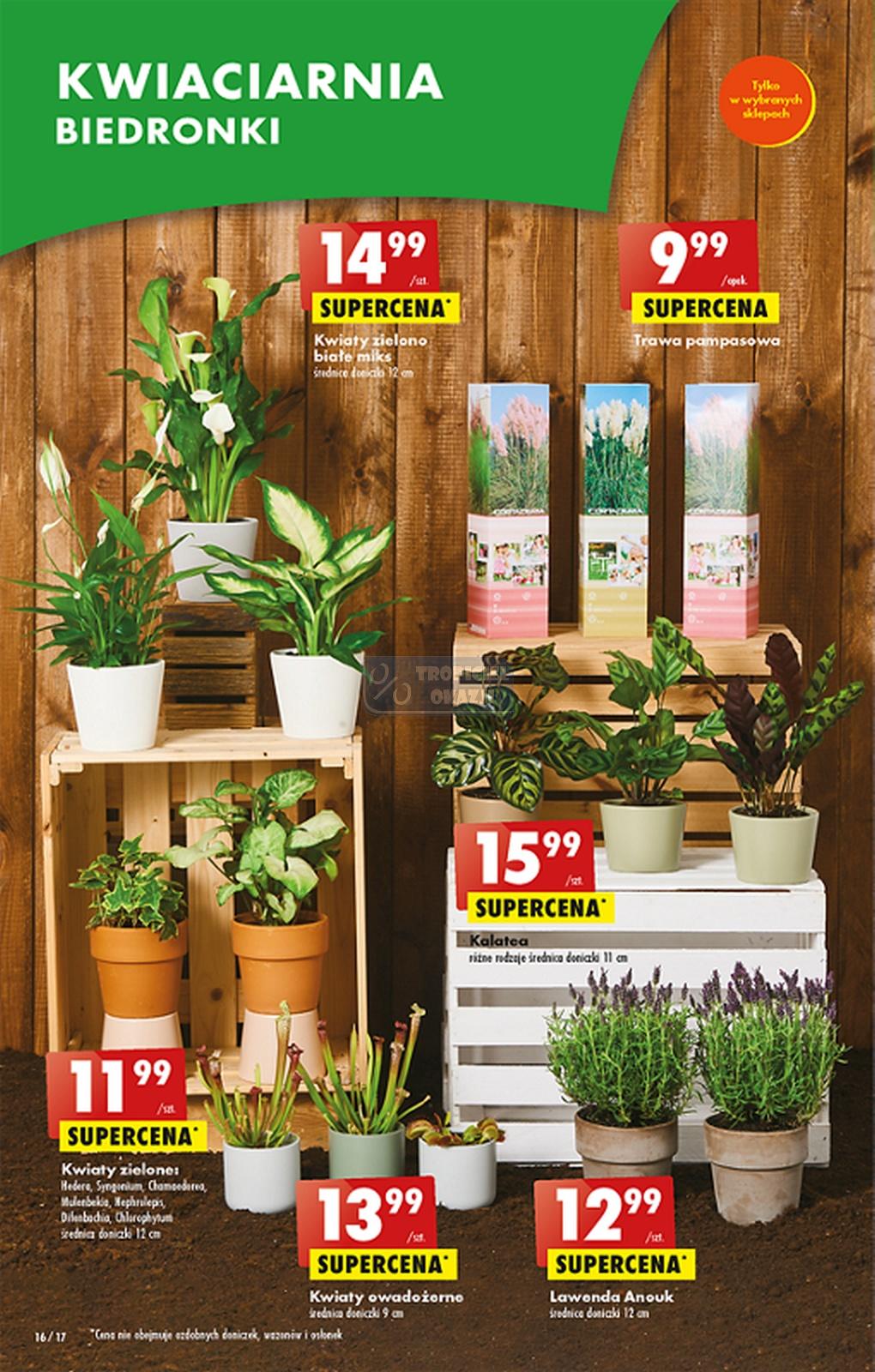 Gazetka promocyjna Biedronka str. 15