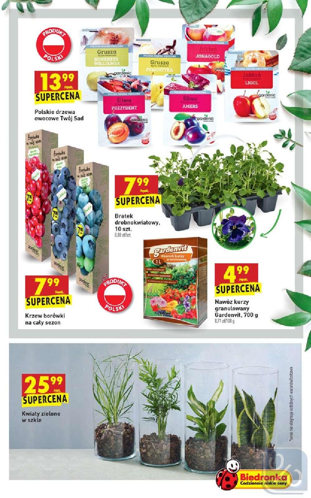 Gazetka promocyjna Biedronka str. 55