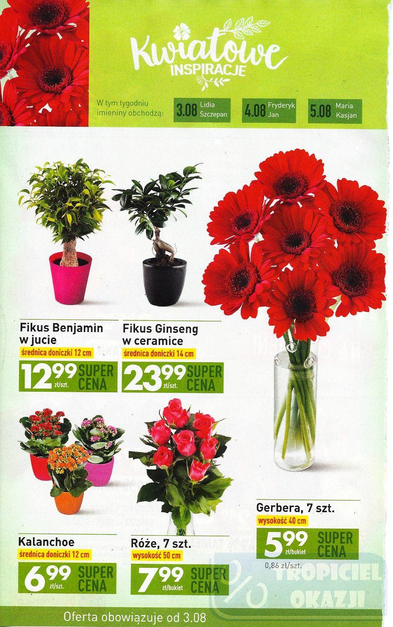 Gazetka promocyjna Biedronka str. 4