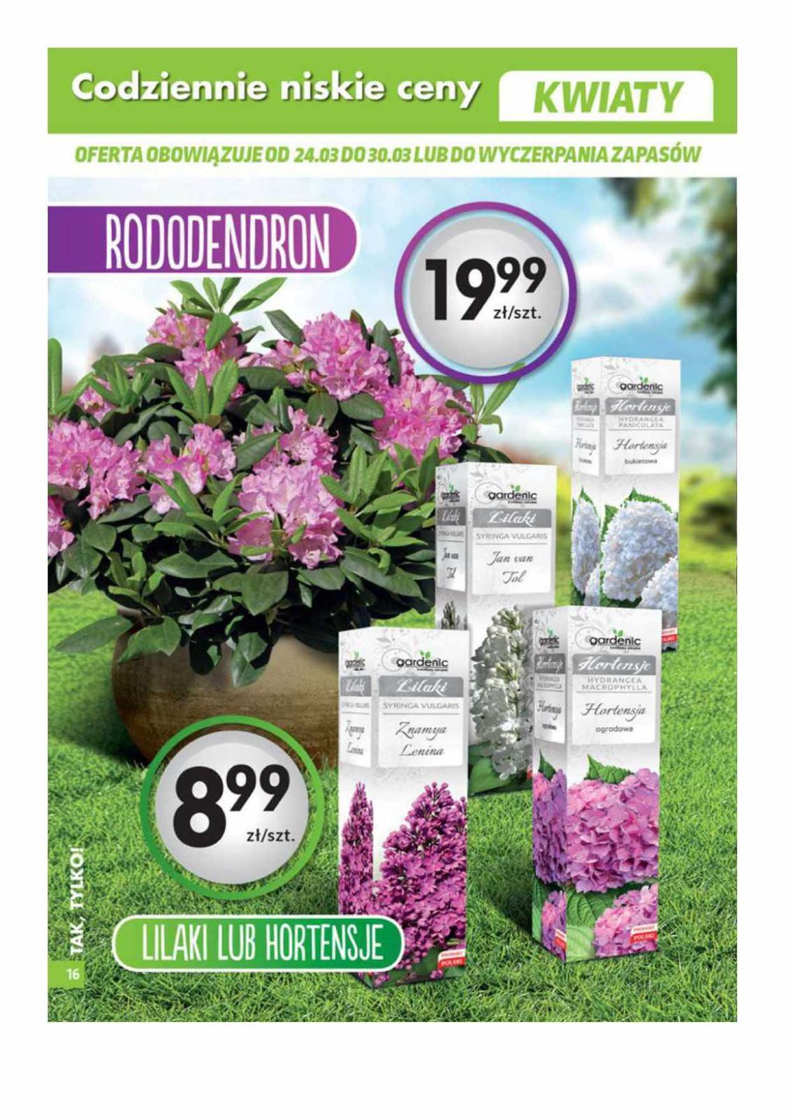 Gazetka promocyjna Biedronka str. 16