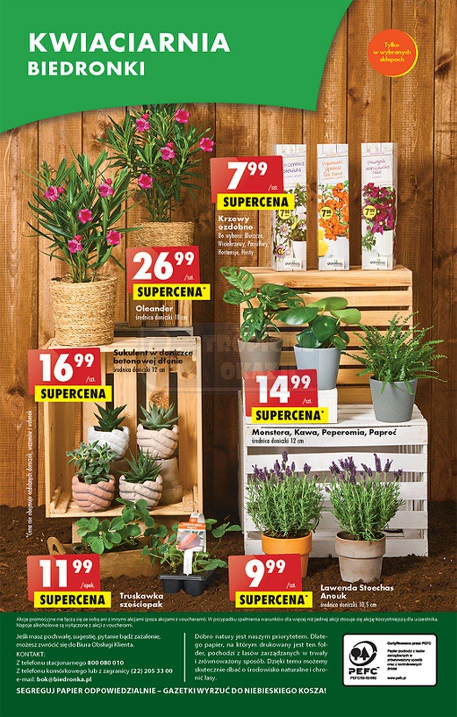 Gazetka promocyjna Biedronka str. 49