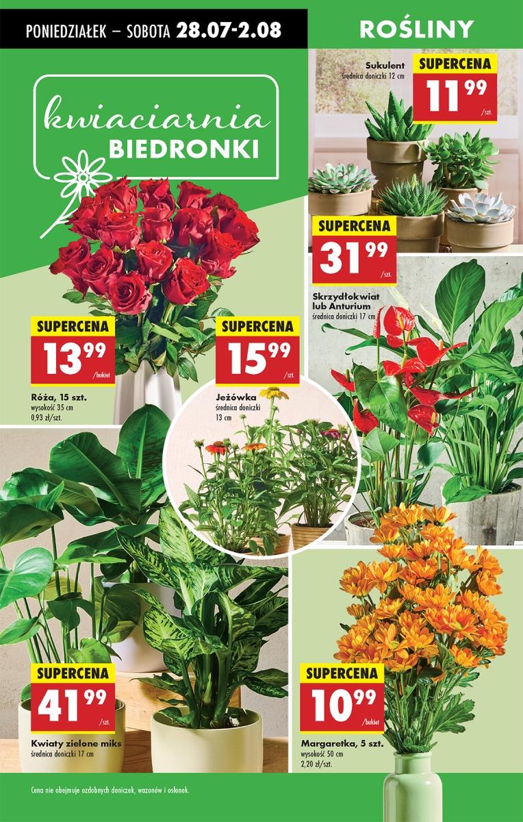 Gazetka promocyjna Biedronka str. 84