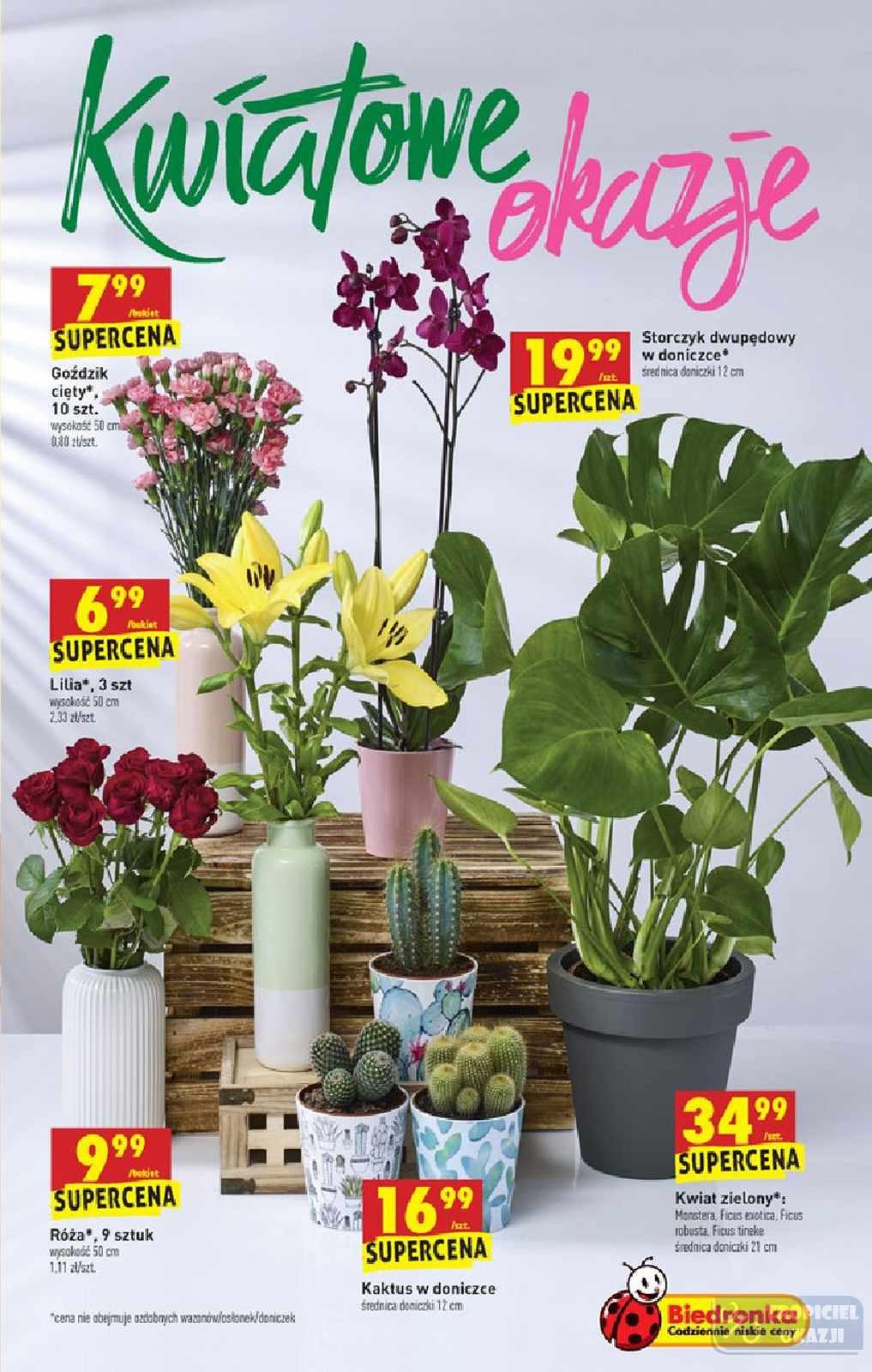 Gazetka promocyjna Biedronka str. 67