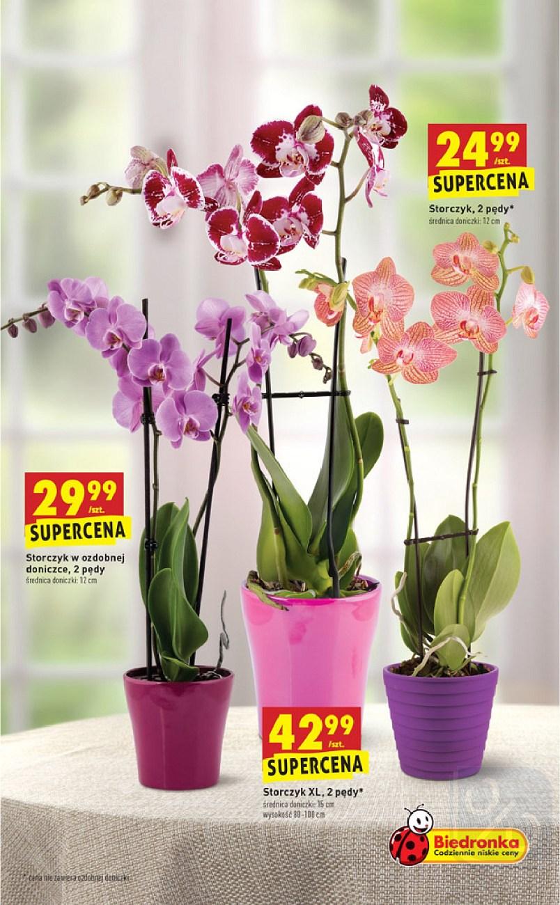 Gazetka promocyjna Biedronka str. 13