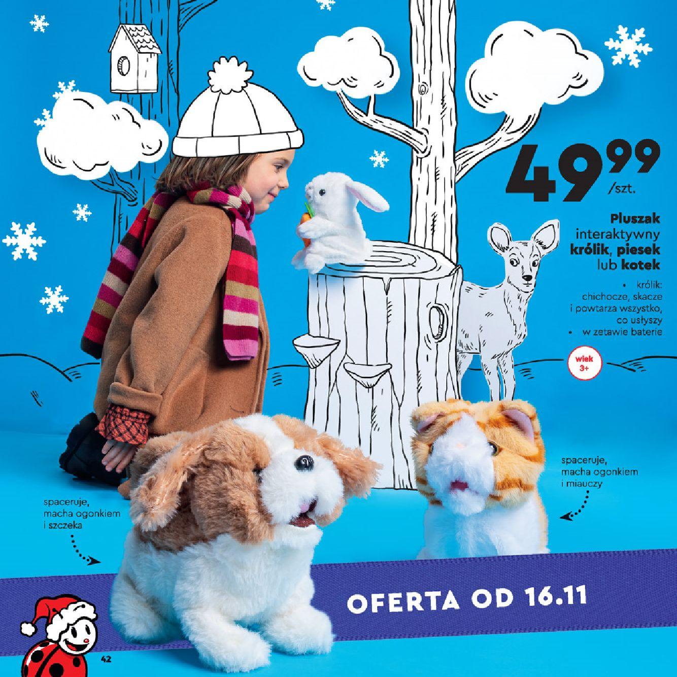 Gazetka promocyjna Biedronka str. 42