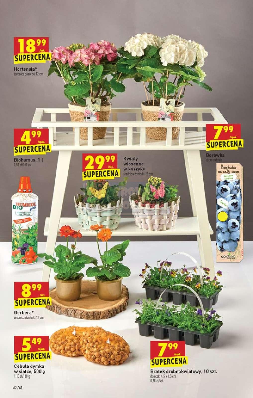 Gazetka promocyjna Biedronka str. 62