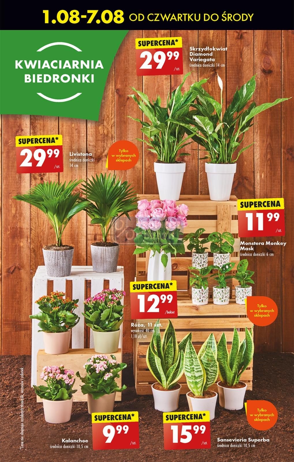 Gazetka promocyjna Biedronka str. 55