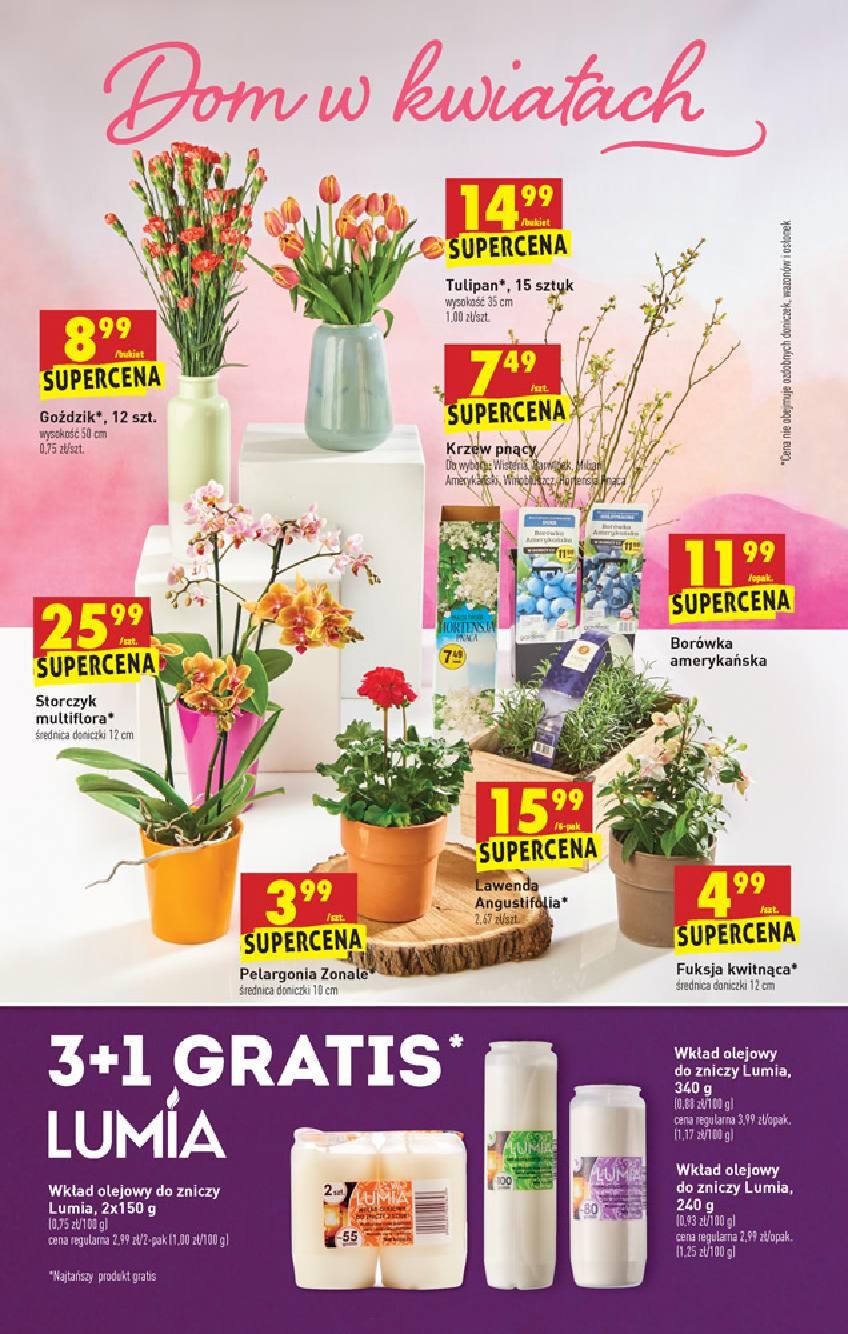 Gazetka promocyjna Biedronka str. 36