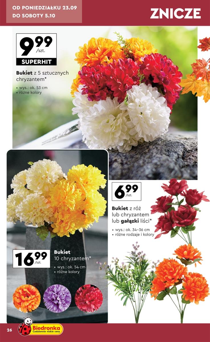 Gazetka promocyjna Biedronka str. 26