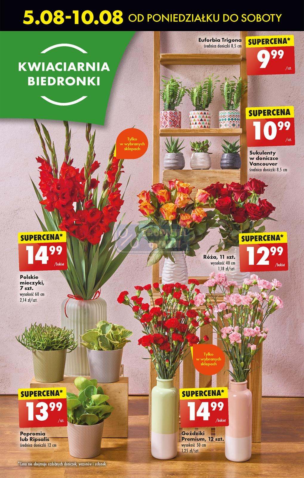 Gazetka promocyjna Biedronka str. 62