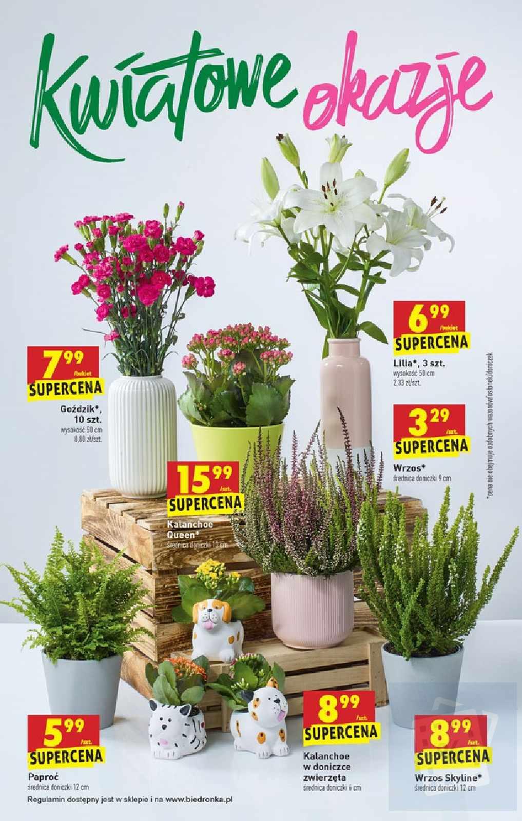 Gazetka promocyjna Biedronka str. 55