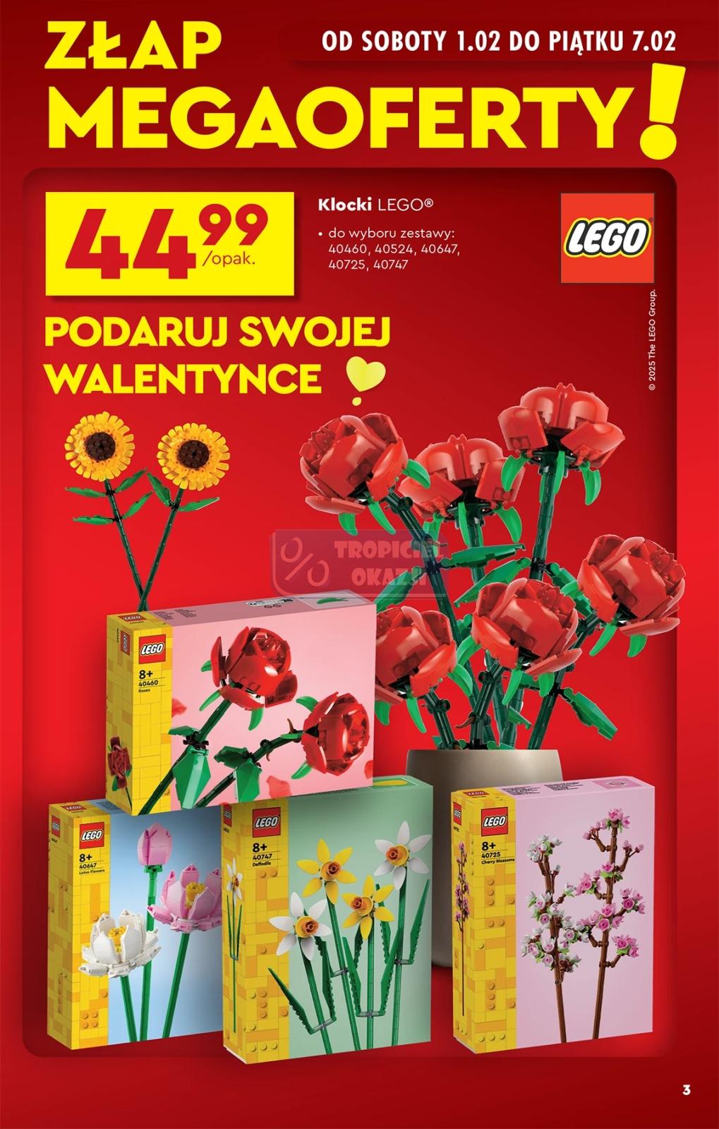 Gazetka promocyjna Biedronka str. 3