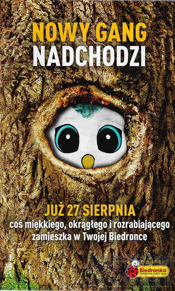 Gazetka promocyjna Biedronka str. 40