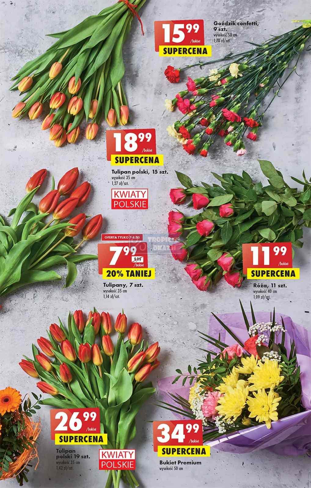 Gazetka promocyjna Biedronka str. 13