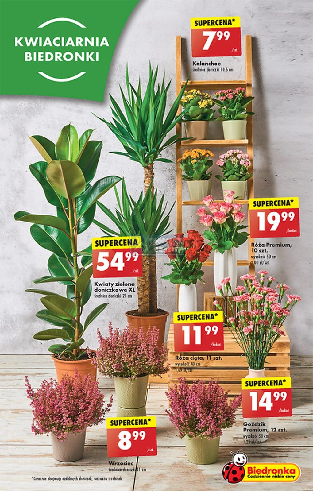 Gazetka promocyjna Biedronka str. 17