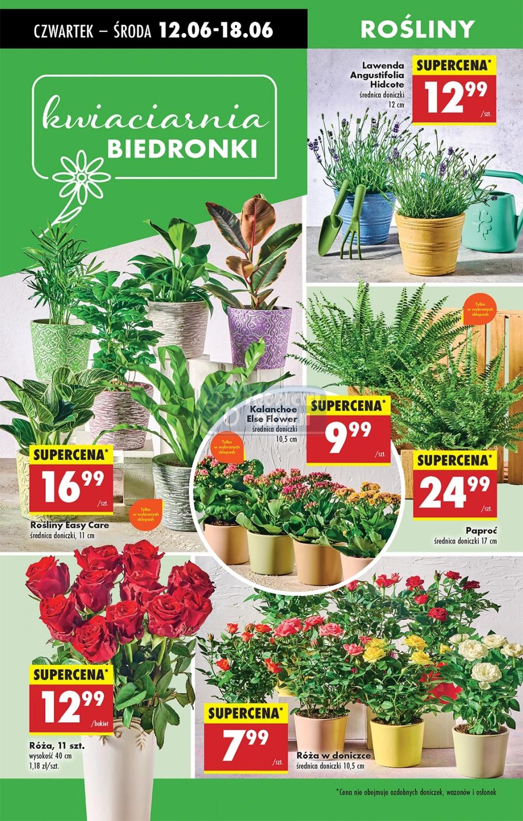 Gazetka promocyjna Biedronka str. 49