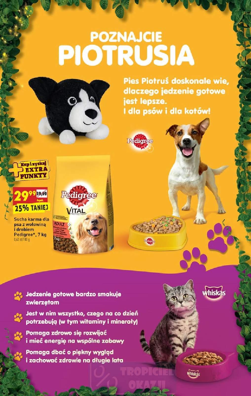 Gazetka promocyjna Biedronka str. 9