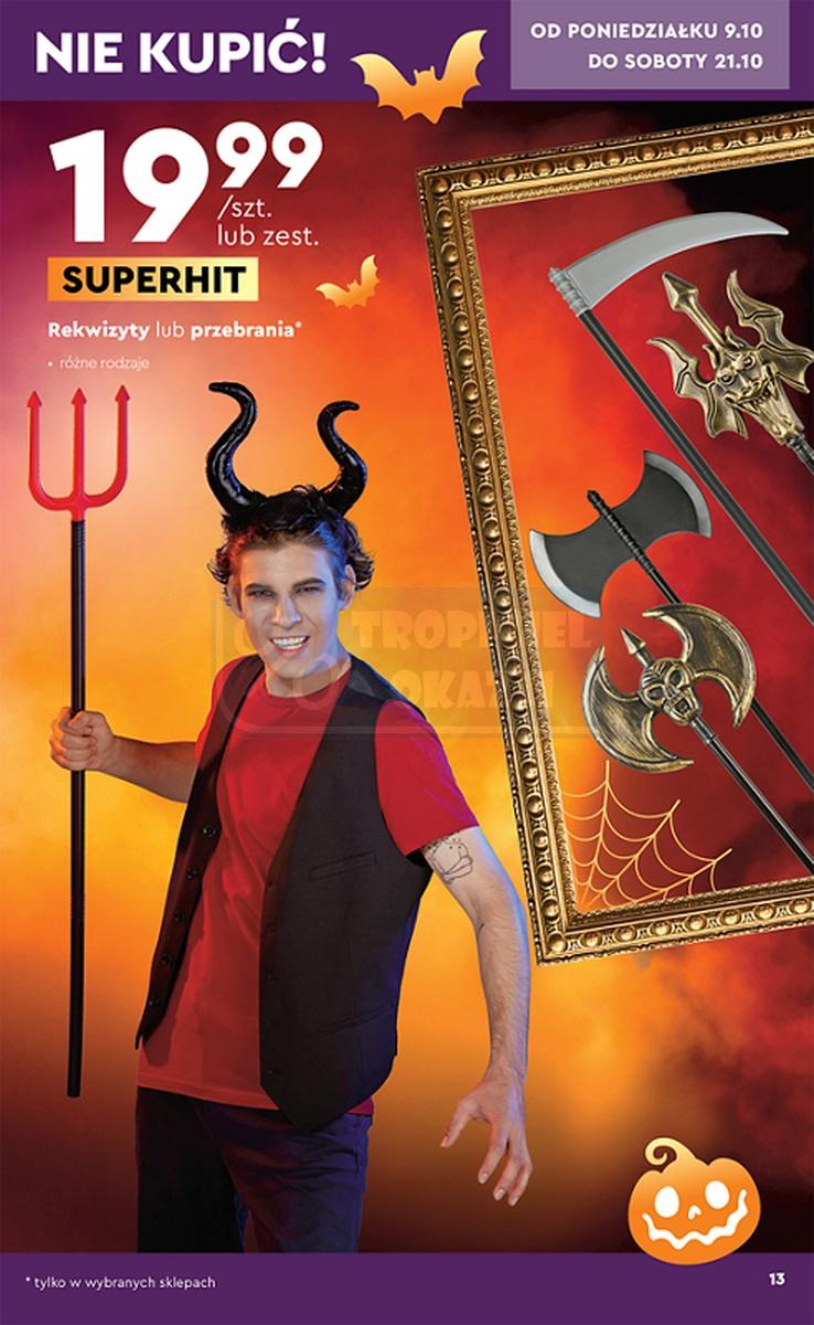 Gazetka promocyjna Biedronka str. 13