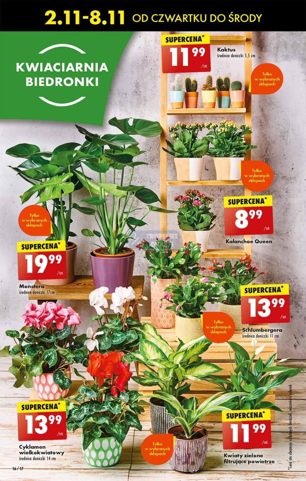 Gazetka promocyjna Biedronka str. 16